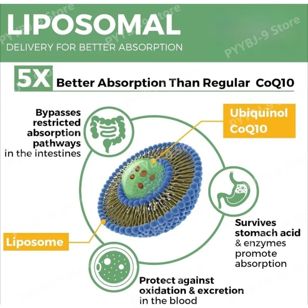 CoQ10 Убихинол 1000 мг, веганс – обзор и цена Coq10 Ubiquinol Softgel